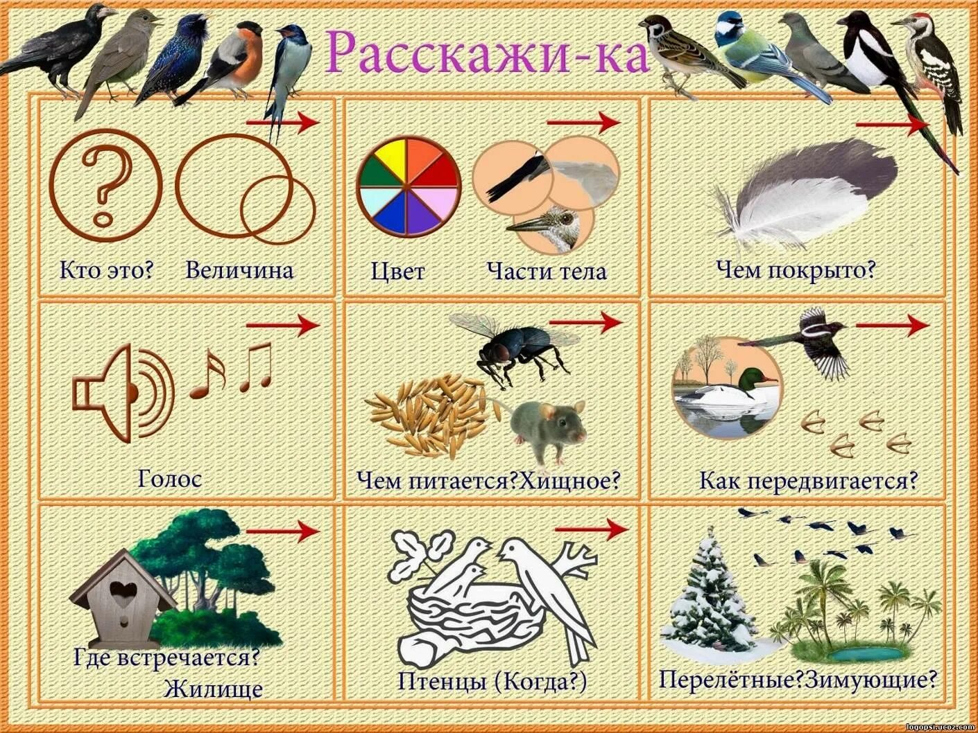 Опиши предметы людей и животных