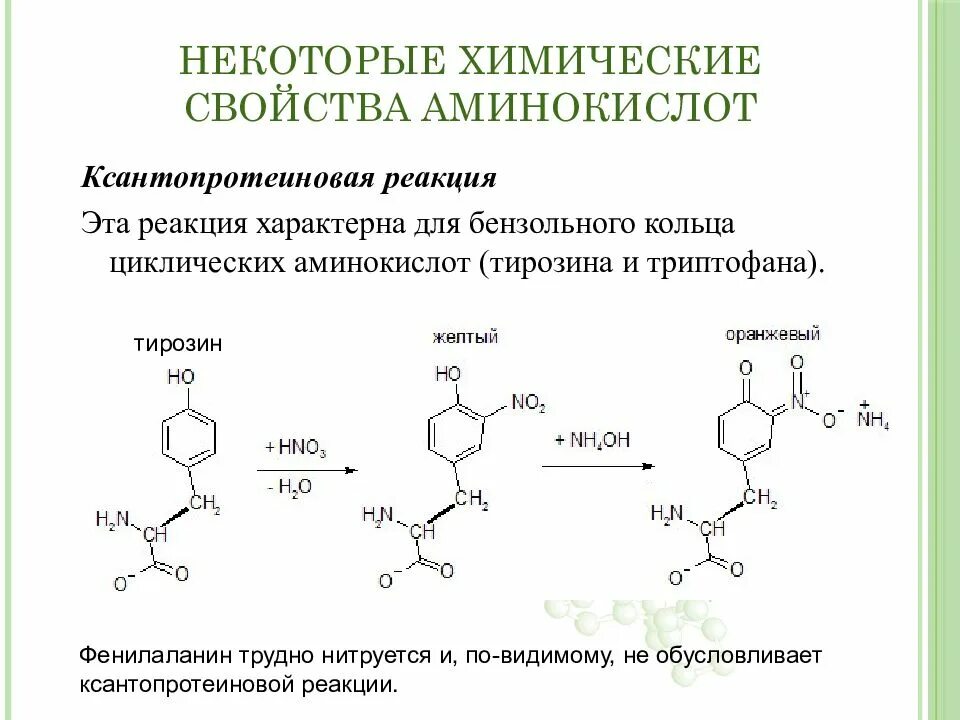 Фенилаланин аминокислота формула. Фенилаланин аминокислота формула. Тирозин аминокислота формула. Фенилаланин аминокислота формула. Фенилаланин формула структурная формула.