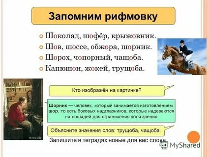 Словосочетание со словом шорник