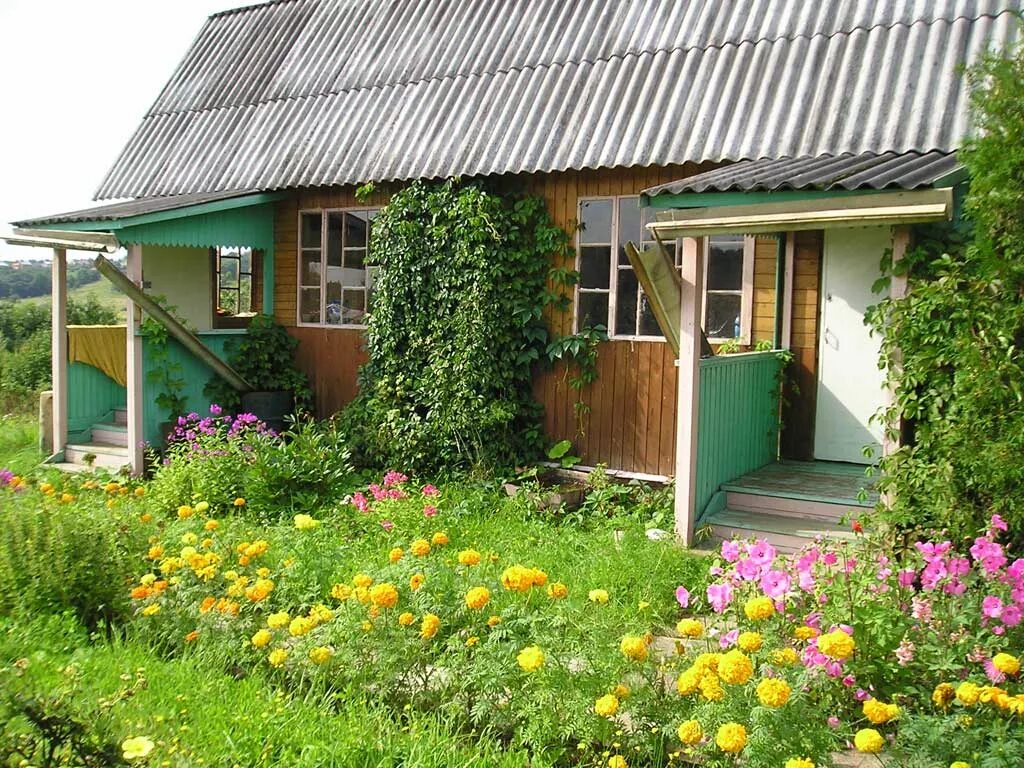 Dacha. На даче. Дача обычная. Обычный дачный участок. Дача. Лето.