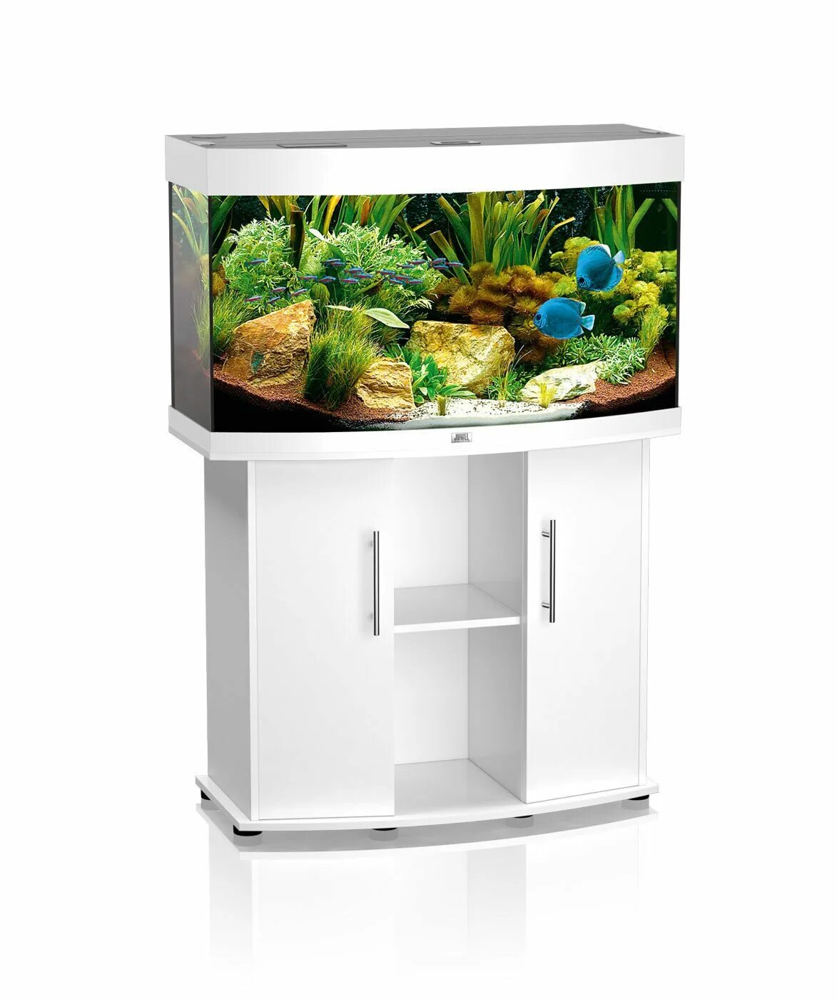 аквариум juwel vision 180. интерьер для аквариума с белым песком. Juwel vision 240. фото белого аквариума. Juw-20044 juwel vio 40 led.