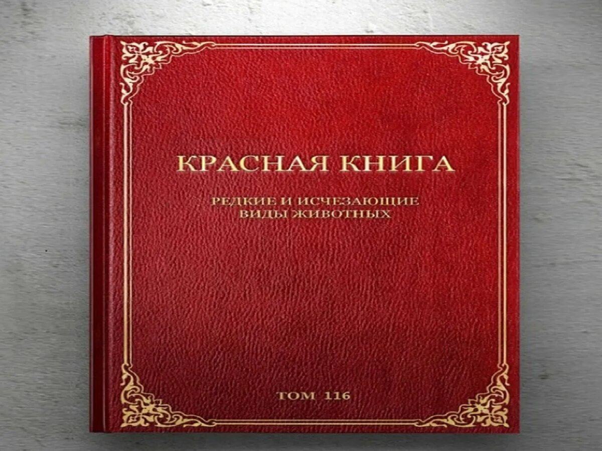 Международная книга россии. Красная книга. Красный. Красная книга книга. Международная красная книга.