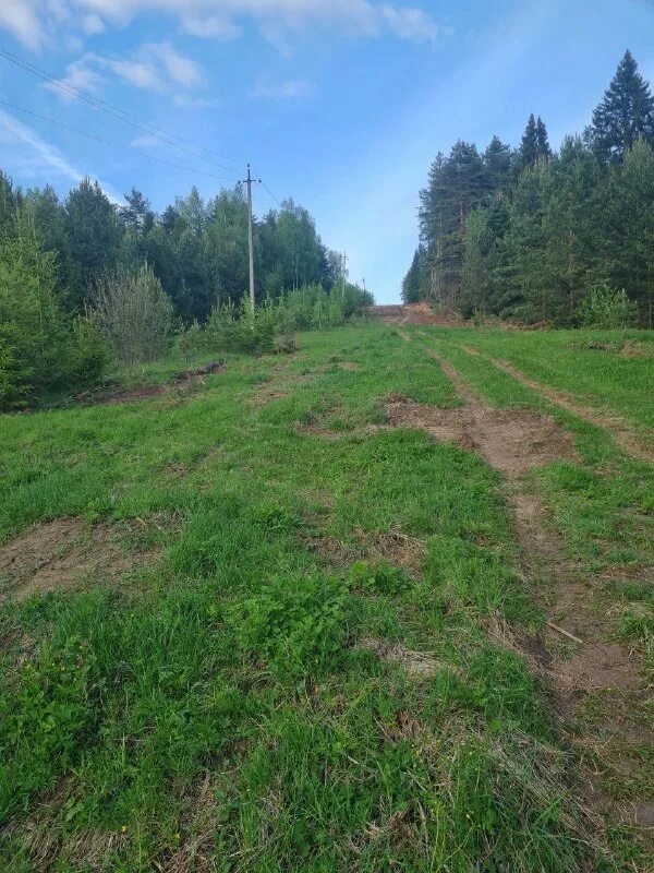 галическое заозерье 2024