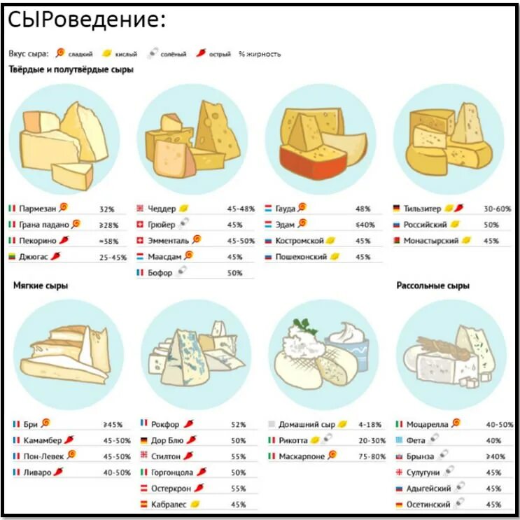 Какой сыр можно есть. Виды сыров. Твердые сорта сыра. Сыр твердых сортов. Сорта сыра твердых сортов.