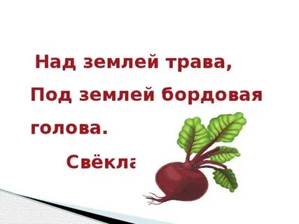 Партер кухонный цепочка свекла