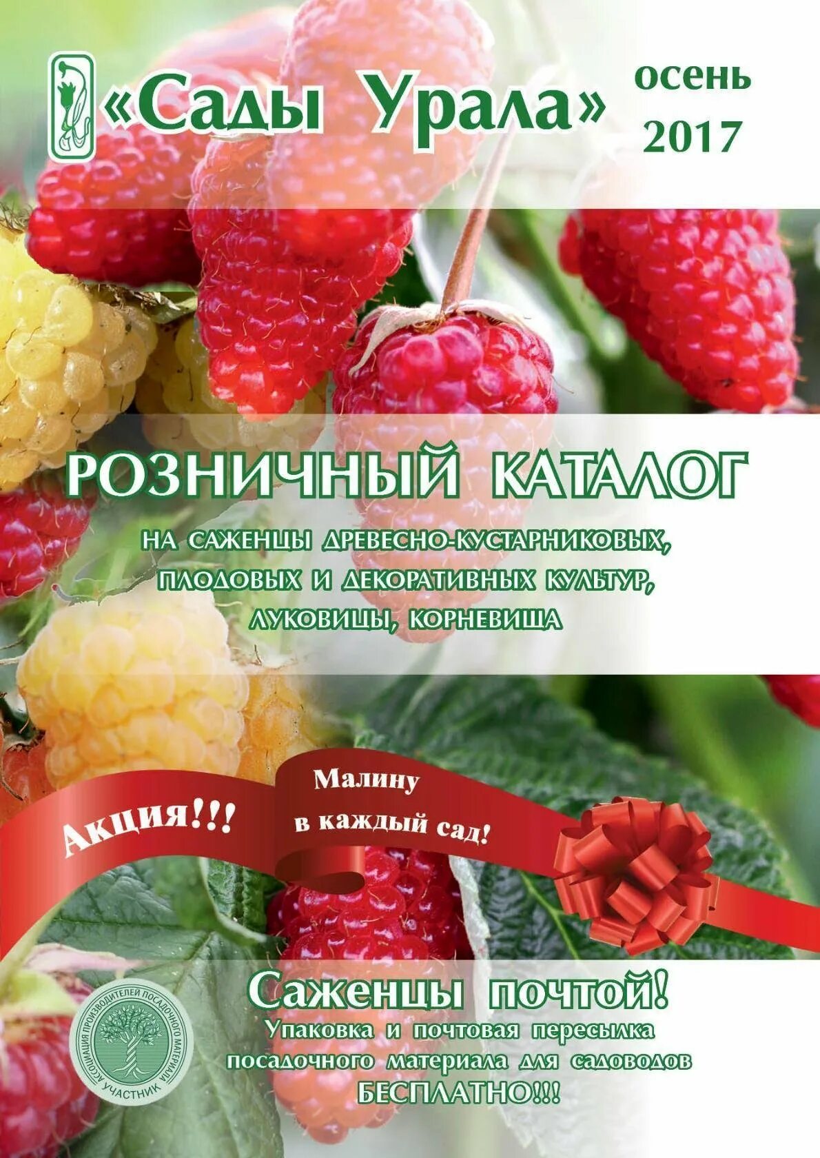 Сайт сады россии челябинск каталог. Сады Урала. Сады Урала интернет-магазин. Сады Урала Артёмовский питомник. Сады Урала каталог.