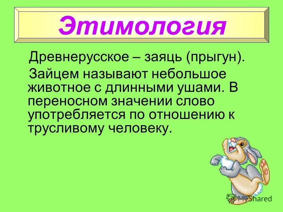 этимология животных. этимология слова корова. происхождение слов. этимология животных. этимологический словарь слово собака.