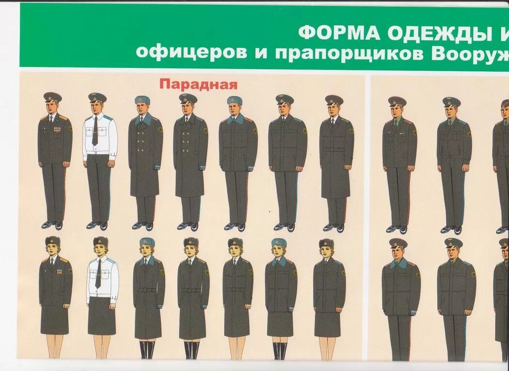 Допускай какая форма. Допускай какая форма