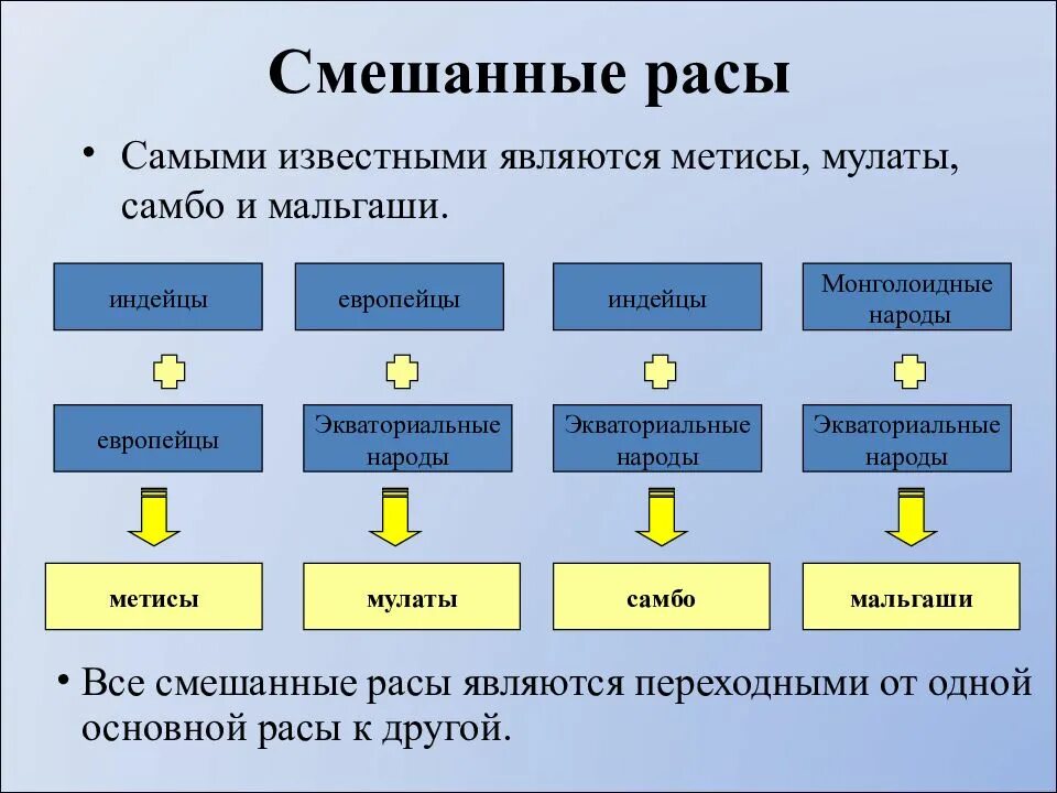 Креолы это смесь каких рас. Смешанные расы. Смешанные расы людей. Названия смешанных рас. Смешение рас названия.