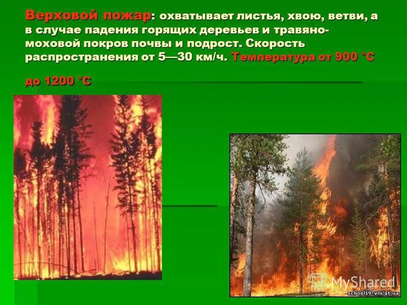 Лесные и торфяные пожары. С какой скоростью распространяется верховой пожар. Низовые верховые и подземные пожары. С какой скоростью распространяется верховой пожар. Классификация пожаров.