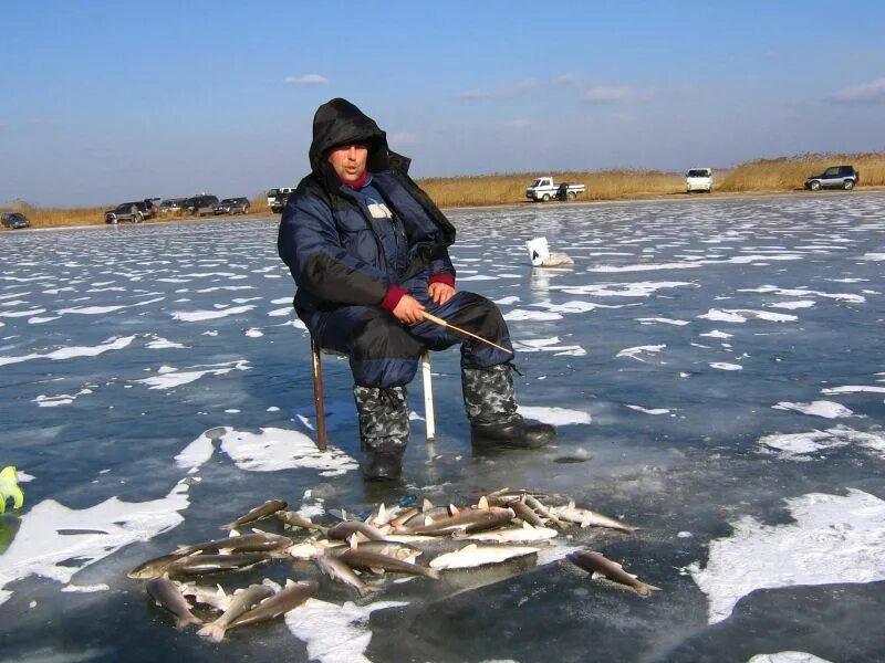 Где зимой ловят рыбу. Рыбалка зимой. Зима озеро рыбаки. Зимний Рыбак. Рыбаки на озере зимой.