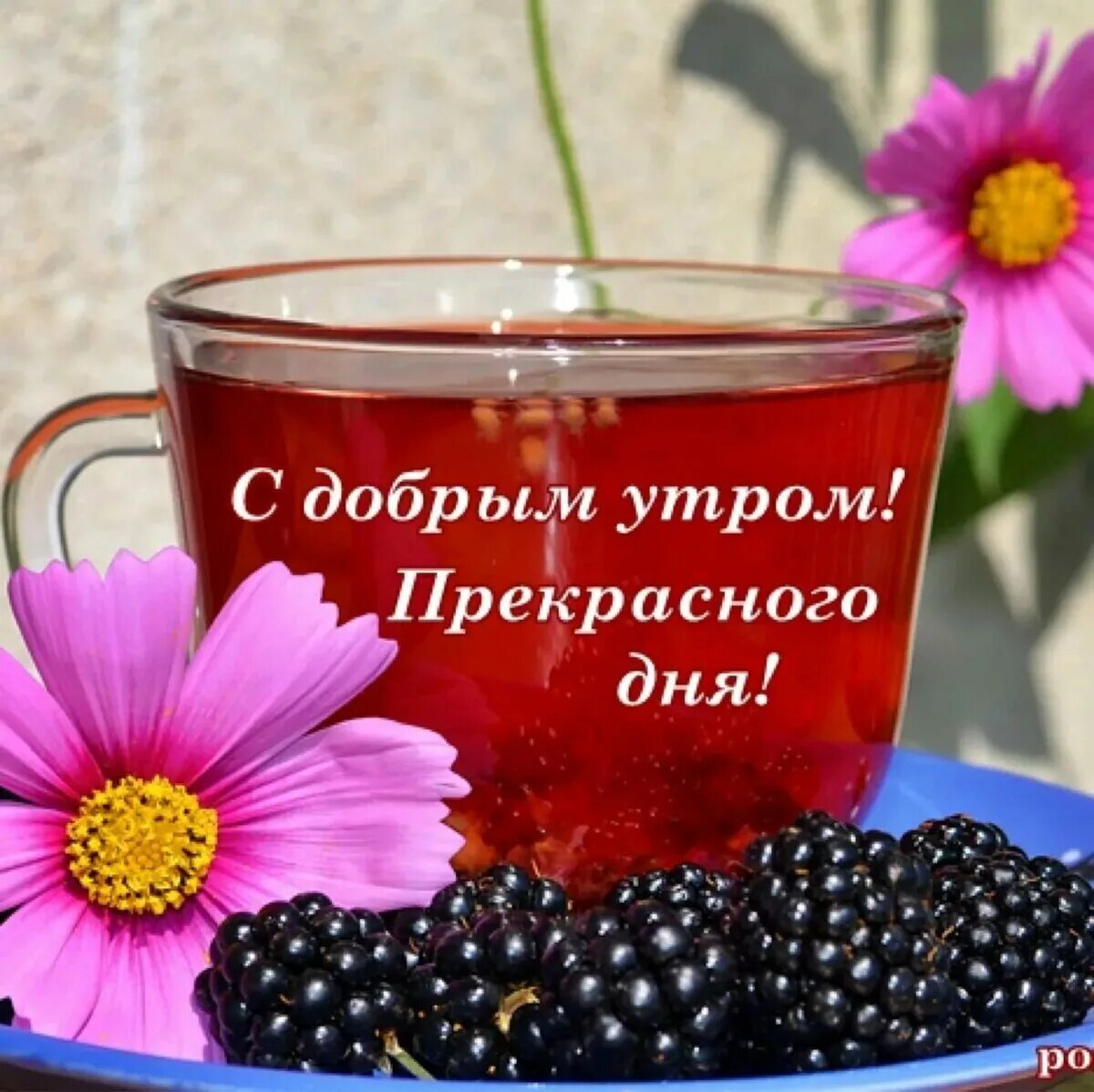 Желаю хорошего дня и прекрасного настроения. Доброго утра и хорошеготнастроения. Пожелания с добрым утром и хорошего дня. Пожелания с добрым. Уа Тром. Доброгоюутра и хорошего настроения.