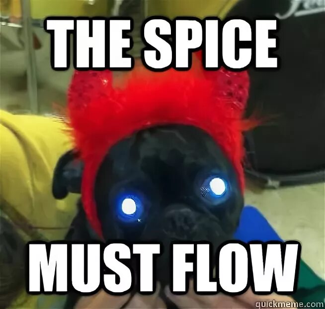 Спайс маст флоу мем. Шпайш машт флоу. Спайс маст флоу мем. Spice must flow мем. Шпайш машт флоу.