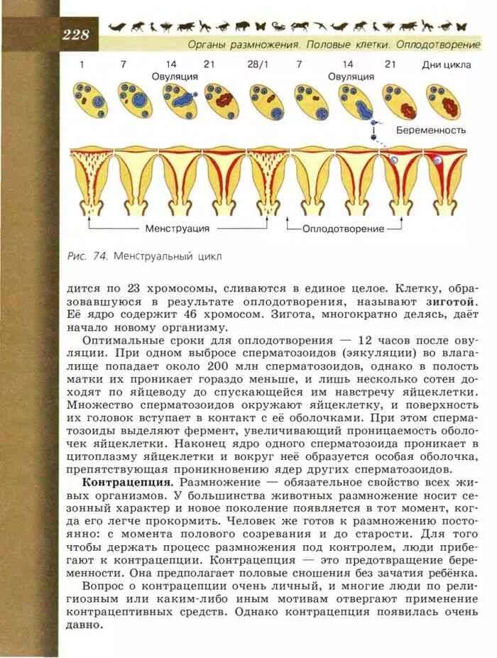 Биология 8 класс учебник Пасечник. Учебник по биологии 8 класс Пасечник Каменский. Биология 8 учебник Пасечник , Швецов. Биология 8 класс учебник линия жизни. Пасечник 8 класс 2023 учебник читать