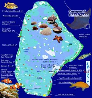 Погода северный атолл мале