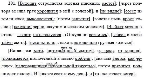 Гдз родной рус яз 9 класс. Спишите заменяя прямую речь косвенной. Приставки при- упр 201. Домашнее задание по русскому языку 9 класс бархударов. Русский язык 9 класс бархударов гдз.
