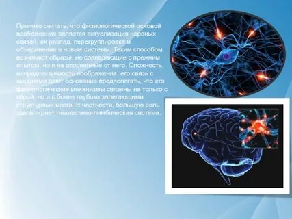 Физиологические основы времени