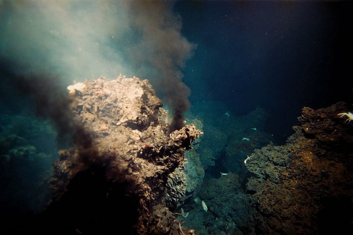 Гидротермальные источники черные курильщики. Тихий океан гидротермальные источники. Черные курильщики Марианская впадина. Подводный гидротермальный источник черный курильщик.