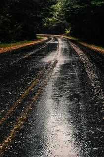 Повозка медленно катилась по размытой дождем дороге