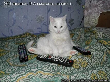Всегда жжешь