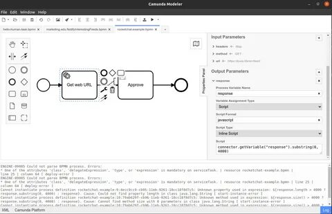 Camunda variables