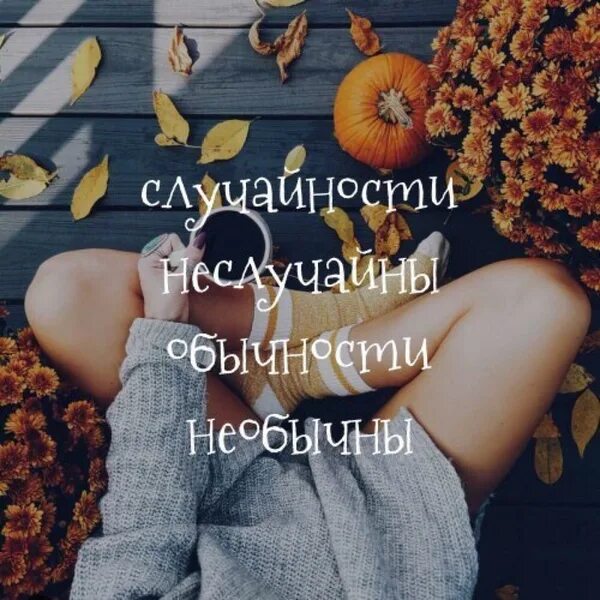 Неслучайная случайность фото. Случайности не случайны цитаты кунг фу панда. Случайности неслучайны песня. Неслучайные случайности цитаты. Черепаха из кунг фу панда случайности не случайны.