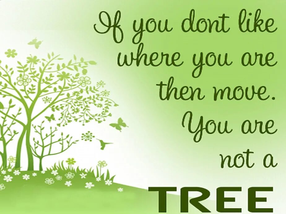 You are not a tree. Save the environment. save trees.