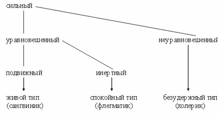 Сильный уравновешенный подвижный тип нервной