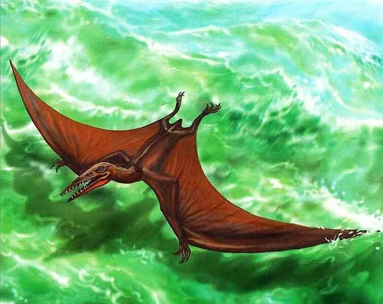 летающие имена. динозавры летающие птеранодон. летающие имена. тапежара птерозавр. птеродактиль динозавр.