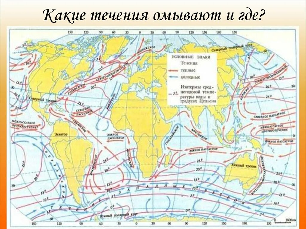 Многообразие течений. Тёплые течения мирового океана на карте. Тёплые и холодные течения на карте мирового океана. Карта течений мирового океана.