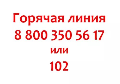 Миграционная служба горячий номер. Горячая линия миграционной службы. Горячая линия ФМС Московской области. Миграционная служба номер телефона горячей линии. Номер телефона УФМС горячая линия.