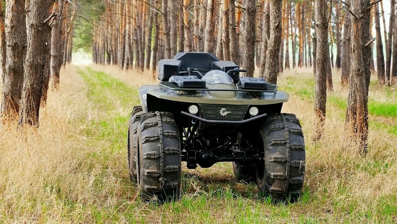 Болотоход тайга 4х4. Вездеход русак 3994. Вездеход 54 тайпан. 5. Снегоболотоход росомаха.
