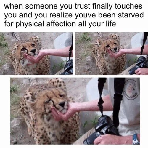 Memes about finally exams. Жабка pepe jojo. When i finally. When i finally. Сейчас вам господин ведьмак таких пиздюлей даст.