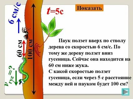 Какой путь проползет улитка по стволу дерева