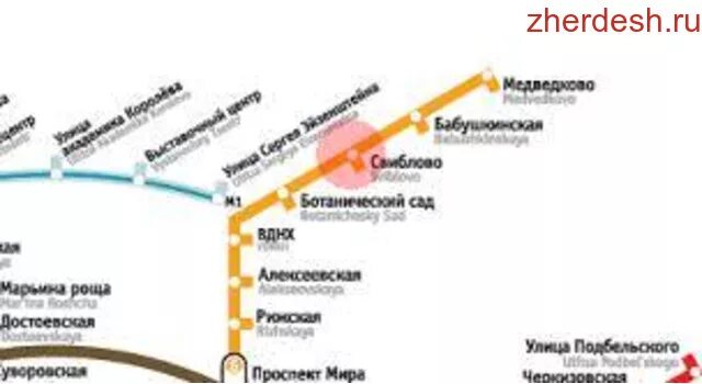 метро алексеевская ветка. метро алексеевская на карте москвы. станция алексеевская москва на схеме метро. метро алексеевская ветка. метро октябрьское поле на схеме метро москвы.
