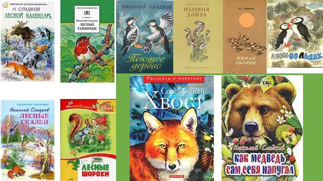 Сладков рассказы о животных. Книжки николай иванович сладков лесные сказки. сладков николай иванович произведения о природе. книги николая ивановича сладкова. николай иванович сладков книги.