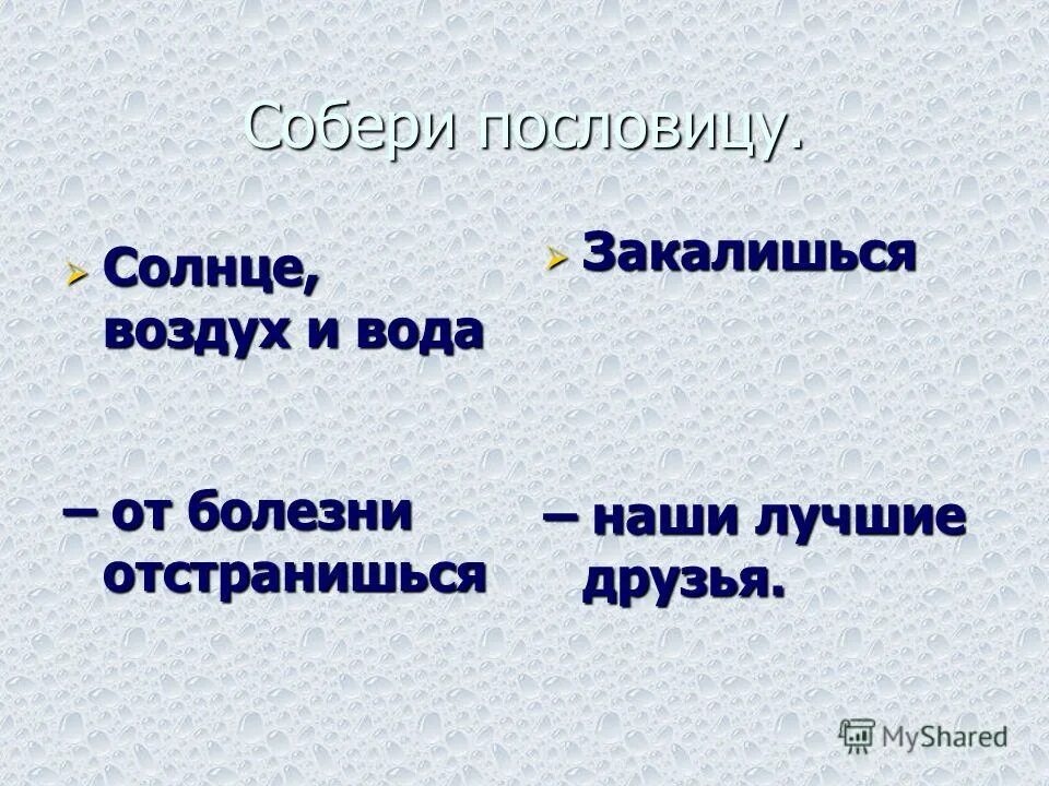 пословицы о солнце. пословица ум без книги как птица без крыльев. дом без книги. поговорки о солнце.