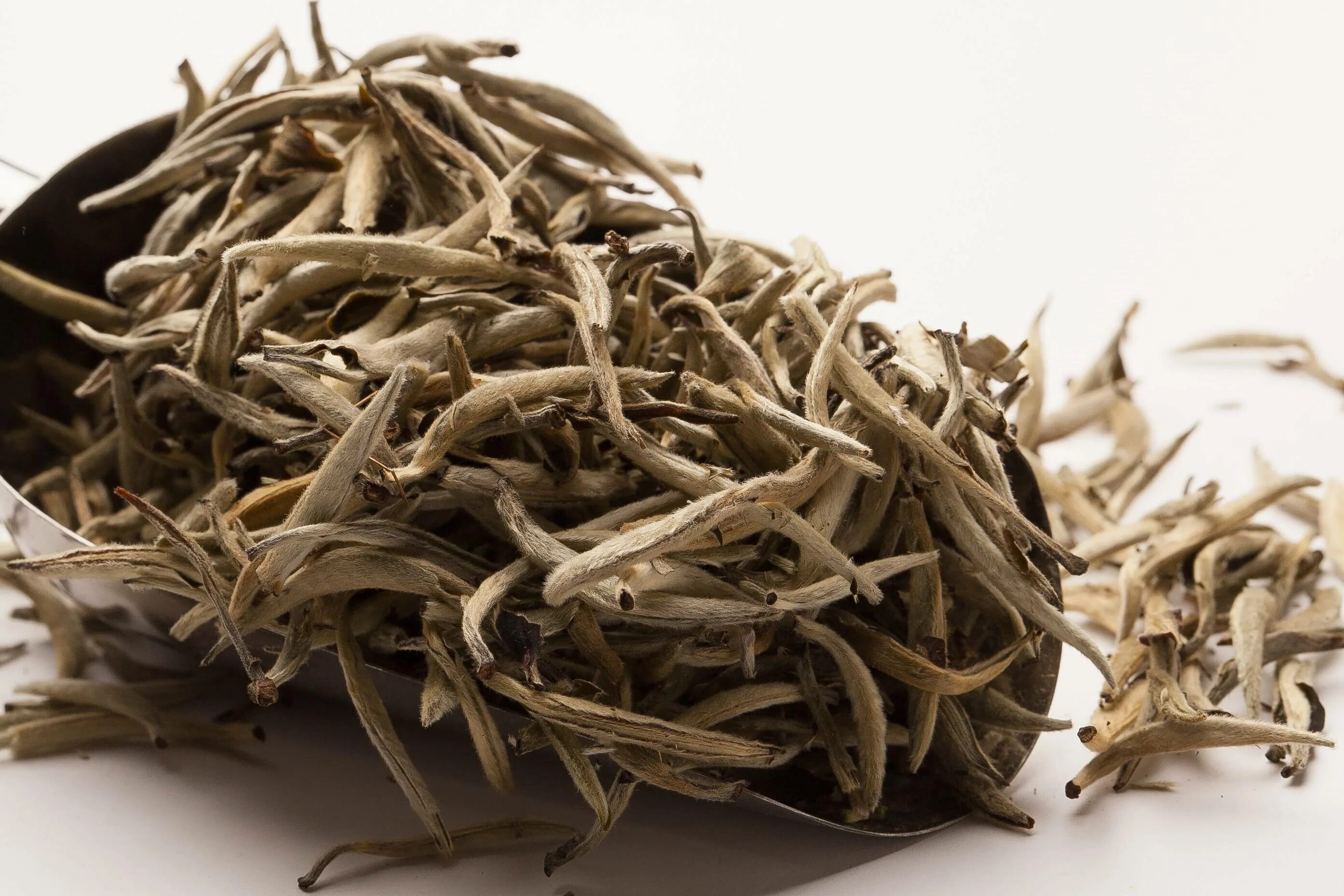 Инь чжень чай. Байхао иньчжэнь «серебряные иглы». Цзинь чжень инь хао. Инь хао чай. Чай белый бай хао инь чжень.