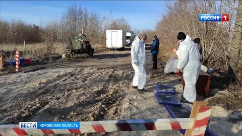 Африканская чума брянская область