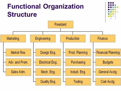 Function structure