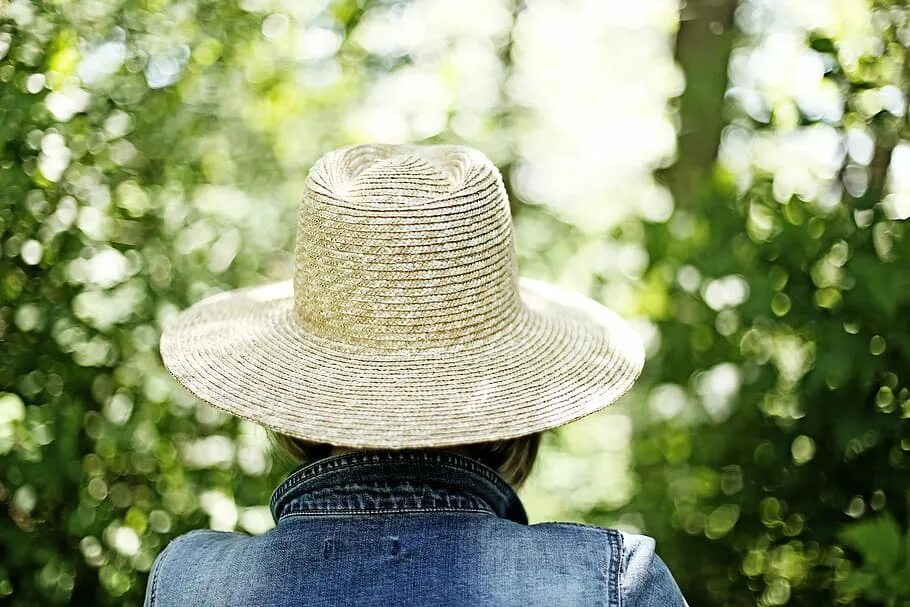 Facing hats. Девушка в соломенной шляпе со спины. Шляпа соломенная на дереве. Женский силуэт в соломенной шляпе. Соломенная шляпа фото.