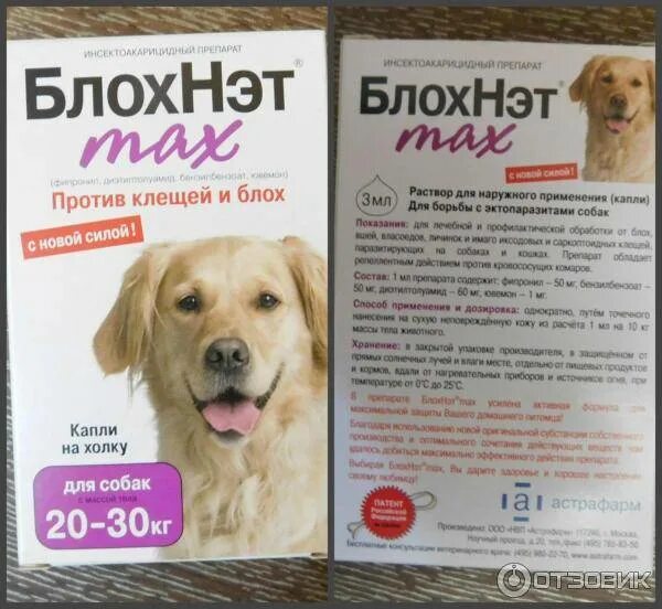 Блохнэт применение. Блохнэт для собак спрей. блохнэт макс для собак. блохнэт таблетки для собак. блохнэт форте капли.