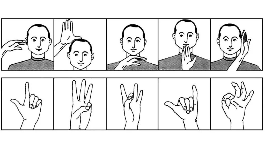 Пальцевые жесты. Упражнения для пальцевого праксиса. Нейропсихологические жесты. Проба Хэда.