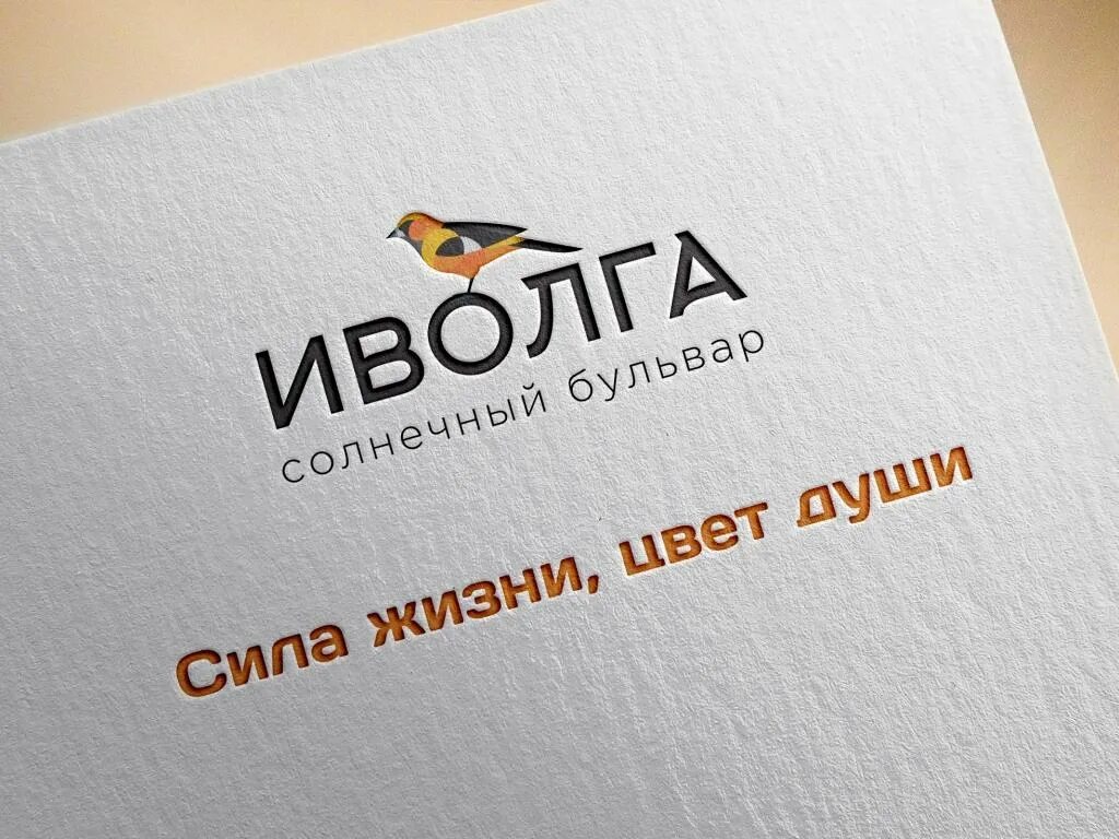 Ivolga логотип. Иволга логотип. Ооо иволга. Бренд иволга. Иволга компания.