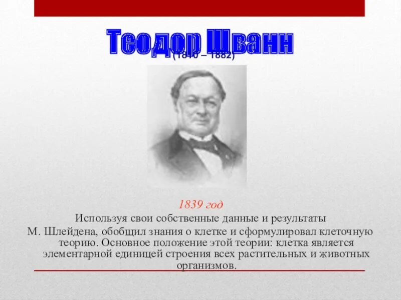 Т шванн сформулировал. Теодор шванн. шванн теодор презентация. т. шванн сформулировал термин :. согласно теории шванна и шлейдена каждая клетка образуется.