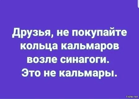 Кальмары у синагоги