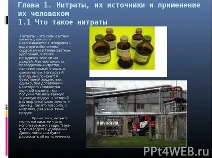 Селитрами называют
