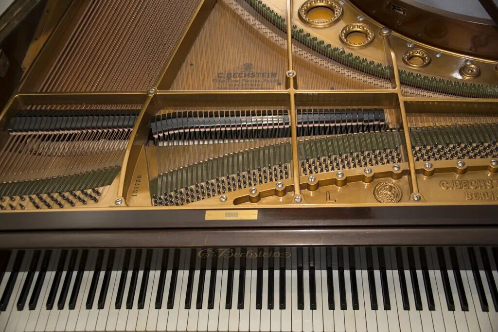 Рояль внутри. Рояль bechstein внутри. пианино внутри. фортепиано внутри. фортепиано изнутри.