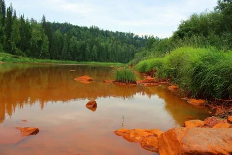 Ой речка речка