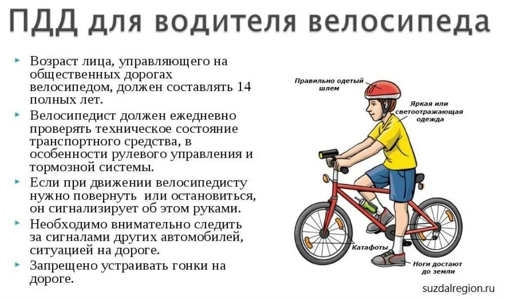 Ле т б. Правила дорожного движения для велосипедистов. Правила ПДД для велосипедистов. Правила движения для велосипедистов. Водитель и велосипедист ПДД.